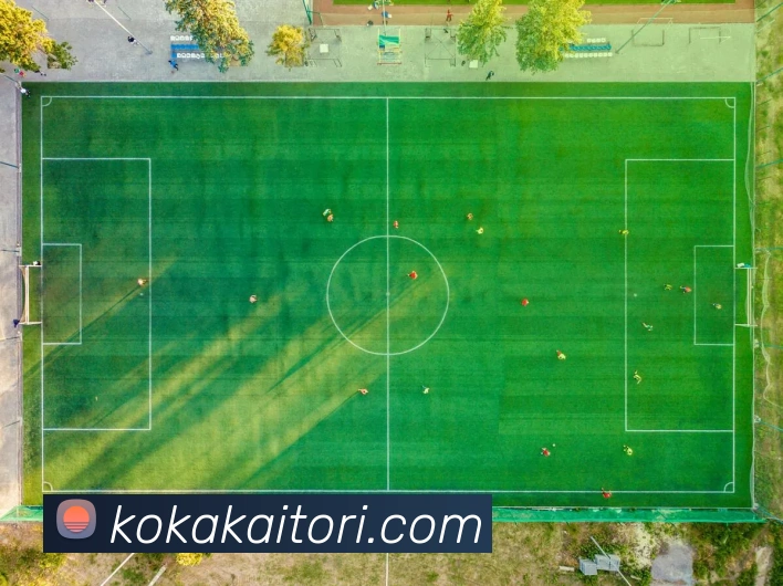 APP界面展示